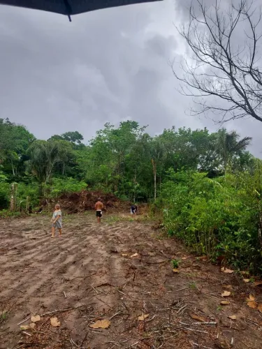 terreno em colares a venda, bairro bacuri