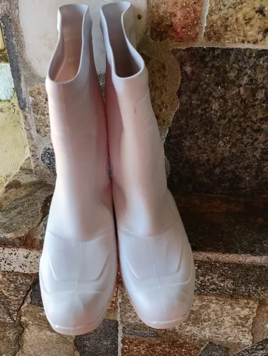 Bota