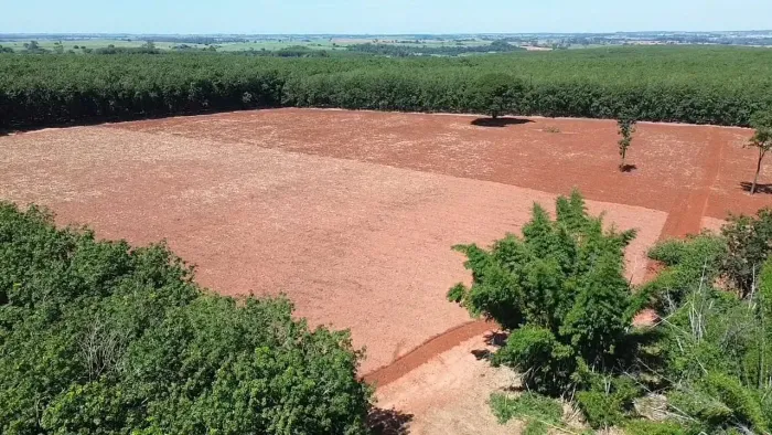 ÁREA RURAL À VENDA COM APTIDÃO PARA CANA-DE-AÇÚCAR  ENGENHEIRO BALDUÍNO/SP