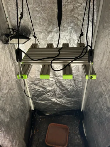 Luz lad para estufa 100w