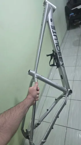 Quadro Absolute wild boost
