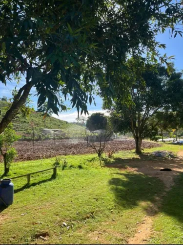 Excelente Oportunidade Rural em Ipanema - MG | 10 Hectares Prontos para Produzir!<br>