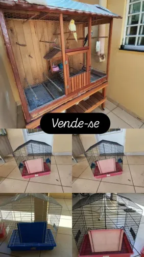 Vende-se 3 gaiolas e 1 viveiro