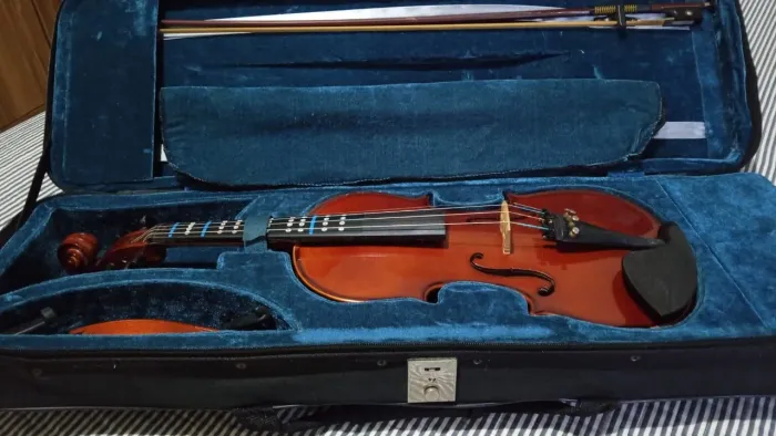 Violino