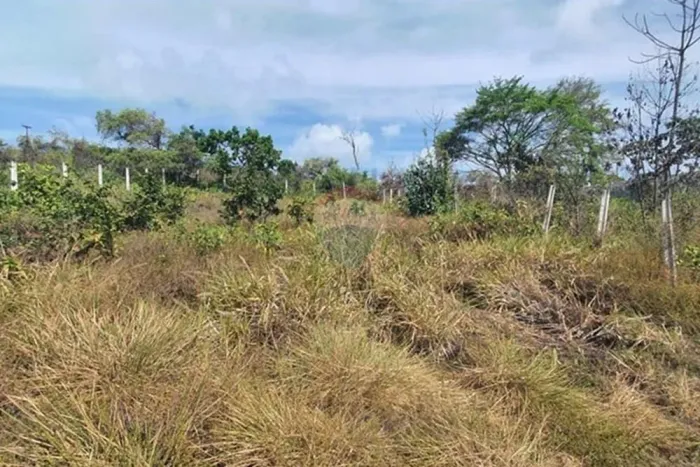 Terreno 450m² à Venda no Litoral Sul Paraíba!