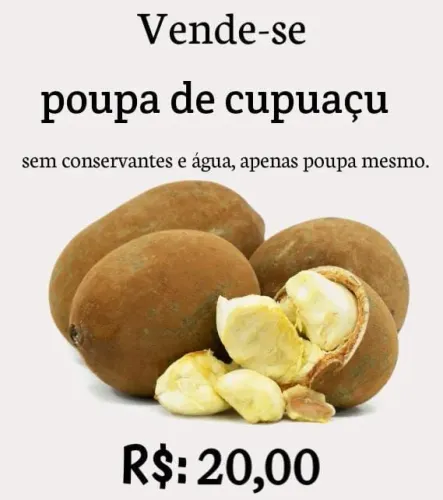 POLPA DE CUPUAÇU 