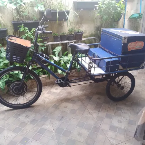 Triciclo eletrico adulto
