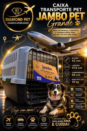 Caixa de transporte N°04