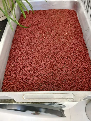 Urucum em sementes puro