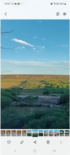 Ibimirim 