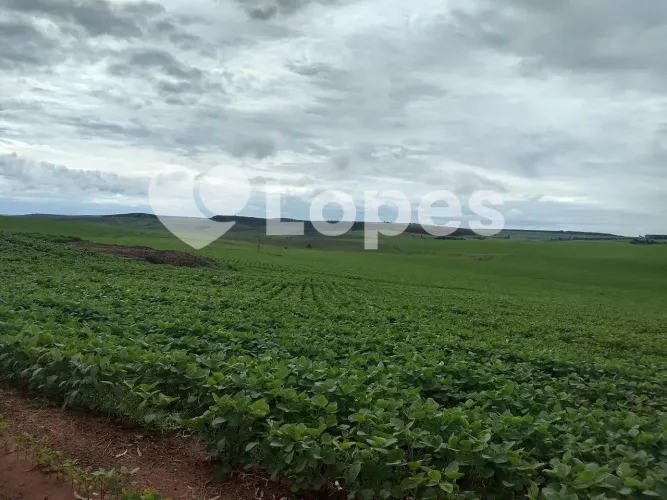 Fazenda 483 ha no Triângulo Mineiro | Dupla Aptidão | Sacramento-MG