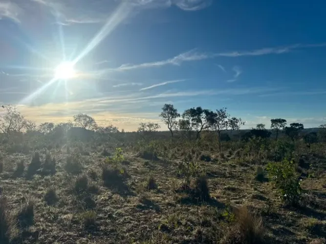Terreno rural de 24 ha com água nos fundos, poço artesiano e árvores frutíferas. Baldim .