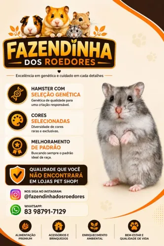 Anão Russo