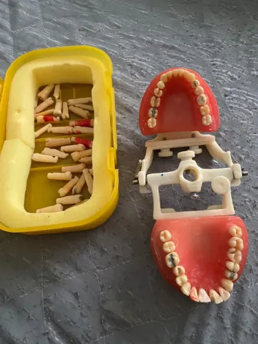 Manequim odontológico 