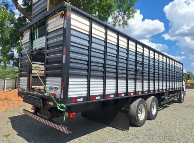 Mercedes-Benz Boiadeiro