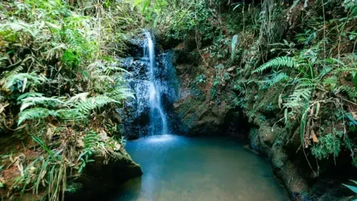 Fazenda em Rio Acima MG com várias propriedades e estruturas fantásticas POUSADA OU HOTEL