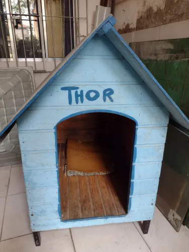 Casinha em madeira, grande e bem conservada.