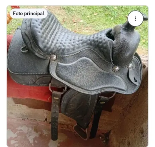 Vendo uma cela boa pra laçar boa pra qualquer cavalo 950 reais quem tiver interesse meu :2