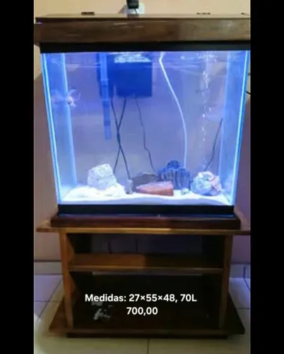 Aquario 