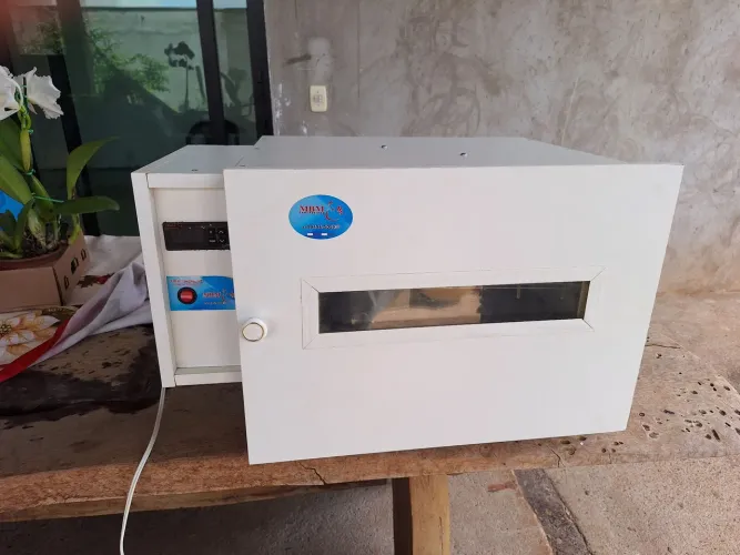 Chocadeira automática
