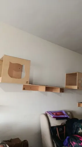 Playground para gatos