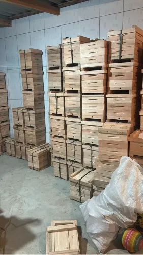 Caixa para abelha mandacaia 