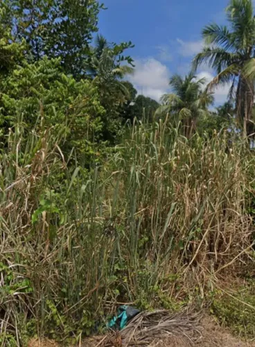 Terreno em nisia floresta