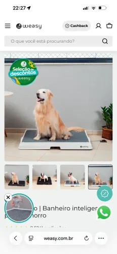 Weasy Cão + Weasy Bag | Estado de novo