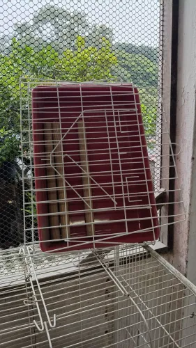 Poleiro dobrável para aves Mônaco
