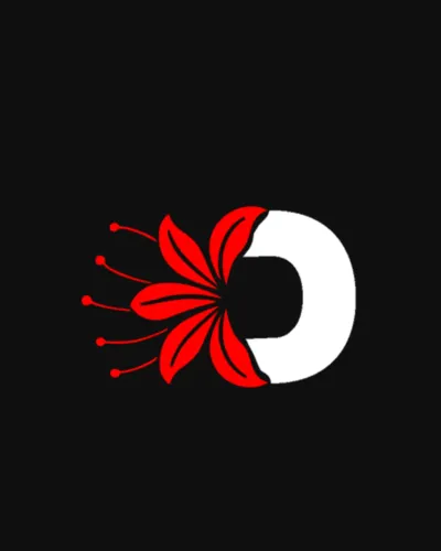 Fotógrafo e Videomaker Profissional - Eventos e Pacotes Mensais | Danm Studio