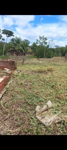 Lote Parafuso