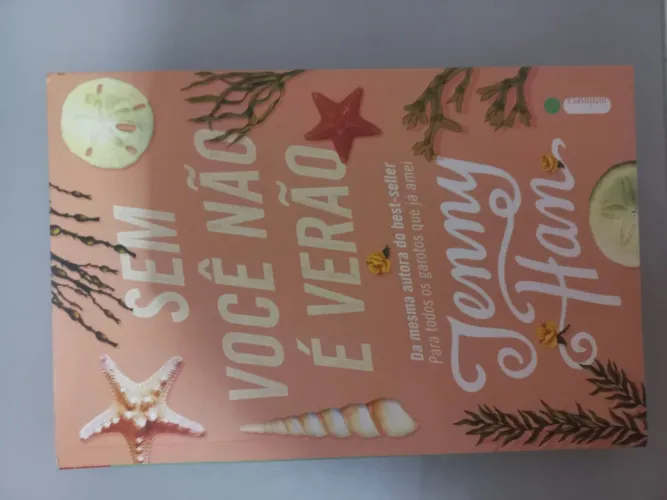 Livro sem você não é verão
