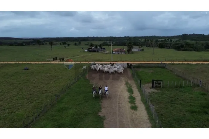 Fazenda Planície - 1.070 hectares - Mascote - BA