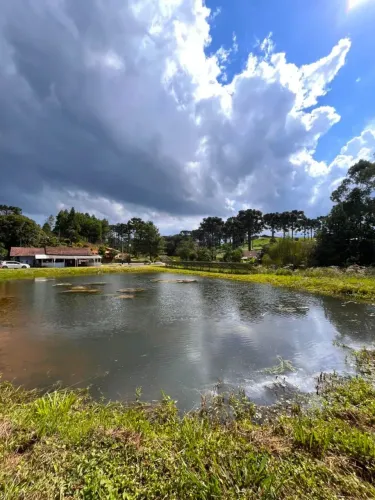 Propriedade à venda em Ribeirão do Meio  Campo Alegre/SC.