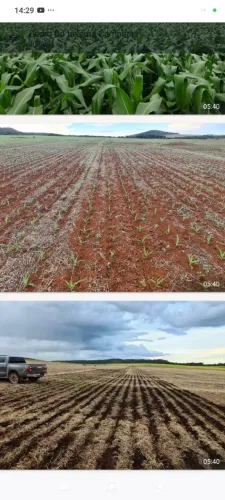 Fazenda 1.349.71hec em primavera do Leste MT. 750 de plantio 700 mil sacas soja 1+ 10 anos