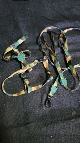 Kit ZeeDog verda - Tam PP - peitoral + Guia