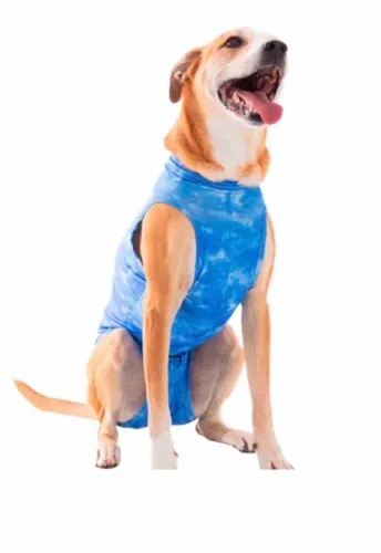 Roupa Pet Med Regata Dry Light Supreme para Cães Cor Azul