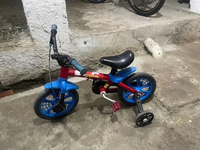 Carrinho e bicicleta infantil 