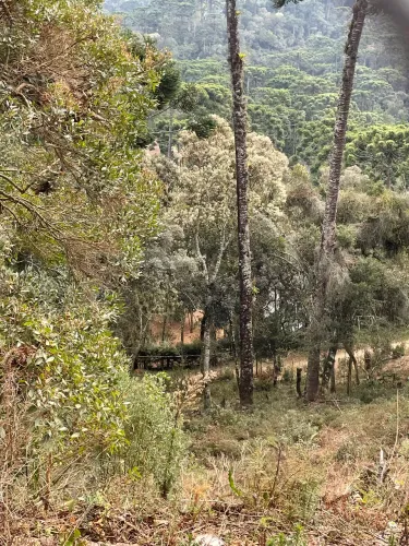 Terreno loteamento recanto das araucárias - campos do Jordão ?