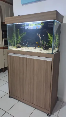 AQUÁRIO COMPLETO