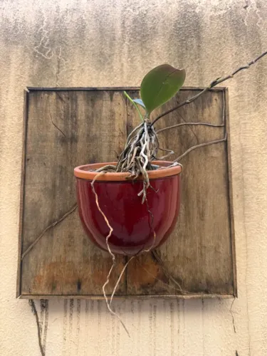 Quadro de demolição com vaso de cerâmica e orquídea