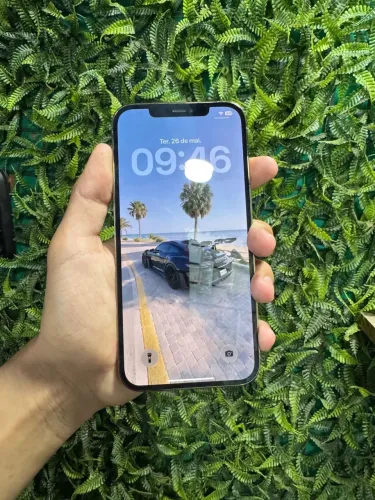 iPhone 12 Pro Max / 128gb / 77% 