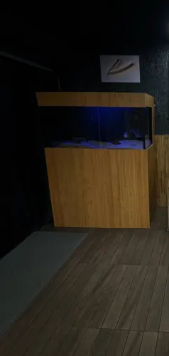 Aquário 500 litros 