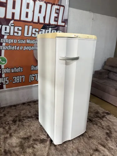 Geladeira Electrolux degelo seco 220wolts ( entrego )