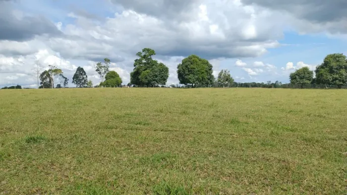 FAZENDA À VENDA NA REGIÃO DO BARRA DO CHOÇA
