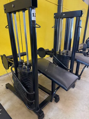 Mesa flexora 