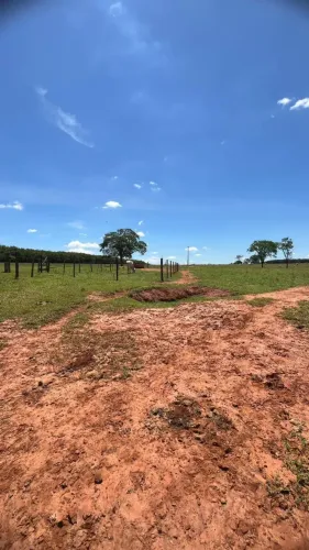 NIPOÃ-SP | 10 ALQUEIRES | MAIS DE 90% APROVEITÁVEL | ESTRUTURA COMPLETA PARA PECUÁRIA | R$