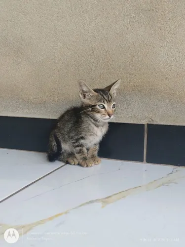 Doação 