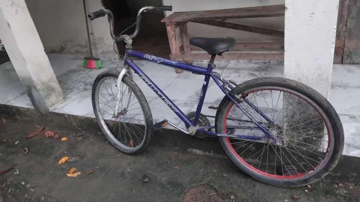 Bicicleta