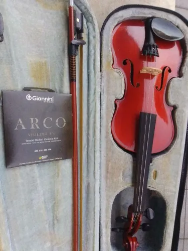Violino da Ucrânia primavera